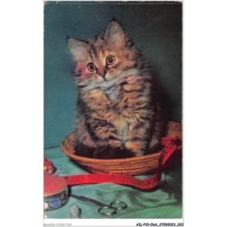 AILP10-0955 - CHAT - chat dans un panier