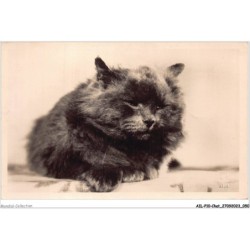 AILP10-0969 - CHAT