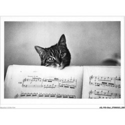AILP10-0993 - CHAT - lyrics de musique