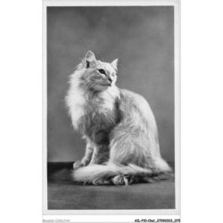 AILP10-0981 - CHAT