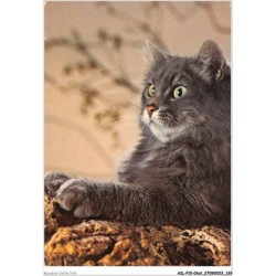 AILP10-1013 - CHAT