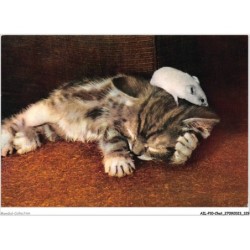 AILP10-1008 - CHAT - la petite souris malicieuse n'a pas réussi à éveiller minou endormi