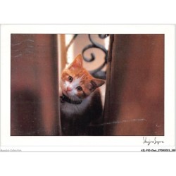 AILP10-1043 - CHAT