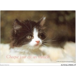 AILP10-1032 - CHAT - chaque jour est un miracle