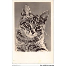 AILP10-0970 - CHAT