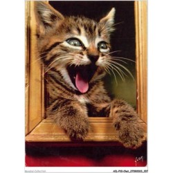 AILP10-1022 - CHAT