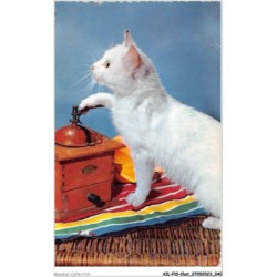 AILP10-0964 - CHAT