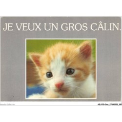 AILP10-1041 - CHAT - chaton - je veux un gros calin