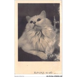 AILP10-0976 - CHAT - darling