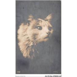 AILP10-0977 - CHAT