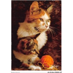AILP10-1042 - CHAT - touf de poil
