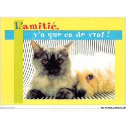 AILP10-1038 - CHAT - chiot et chat