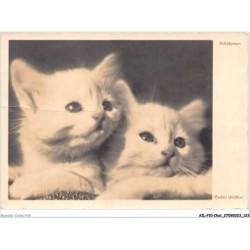 AILP10-1005 - CHAT - edeldamen - bedda walther