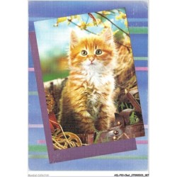 AILP10-1037 - CHAT - portrait de chat