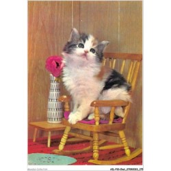AILP10-1031 - CHAT - chat sur une chaise