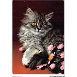 AILP10-1034 - CHAT