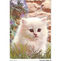 AILP10-1014 - CHAT