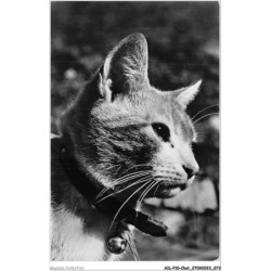 AILP10-0980 - CHAT