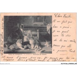 AILP9-0858 - CHAT - musée de luxembourg - famille de chats