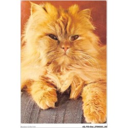 AILP10-1040 - CHAT