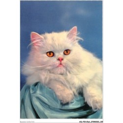 AILP10-1011 - CHAT - chat blanc