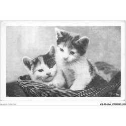 AILP9-0846 - CHAT - deux chats dans un panier