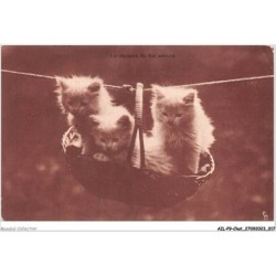 AILP9-0845 - CHAT - le chemin de fer aérien
