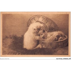AILP9-0873 - CHAT - chat dans un panier