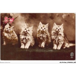AILP9-0840 - CHAT - chatons