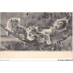 AILP9-0876 - CHAT - chats au repos