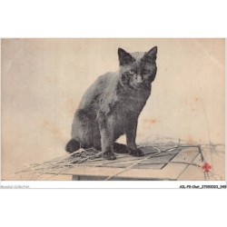 AILP9-0861 - CHAT