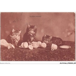 AILP9-0847 - CHAT - le five o'clock