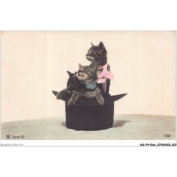 AILP9-0843 - CHAT - chats sur un chapeau