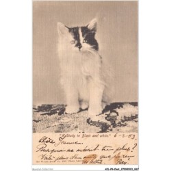AILP9-0870 - CHAT - a study in black and white