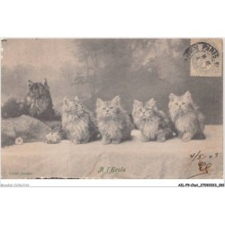 AILP9-0877 - CHAT - à l'école
