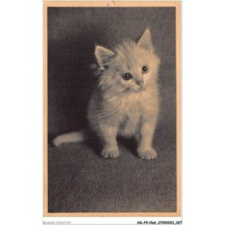 AILP9-0850 - CHAT - regard de chat