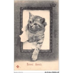 AILP9-0844 - CHAT - bonne année