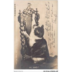 AILP9-0859 - CHAT - en arrêt