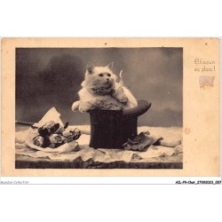 AILP9-0865 - CHAT - chacun sa place