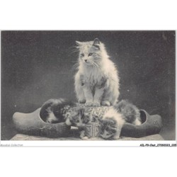 AILP9-0854 - CHAT - chatte et chatons