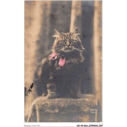 AILP9-0860 - CHAT