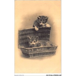 AILP9-0871 - CHAT - chats et panier