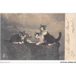 AILP9-0867 - CHAT - regard de chats