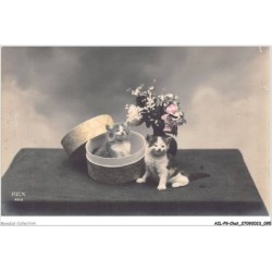 AILP9-0884 - CHAT - chats et fleurs