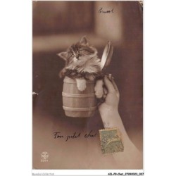 AILP9-0855 - CHAT - chaton dans une CHOPE A BIERE