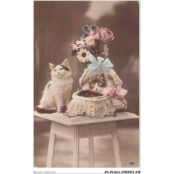 AILP9-0856 - CHAT - chats et fleurs