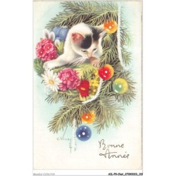 AILP9-0896 - CHAT - bonne année