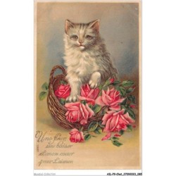 AILP9-0879 - CHAT - panier de fleurs et chat