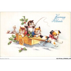 AILP9-0909 - CHAT - chatons et chiot - heureuse année