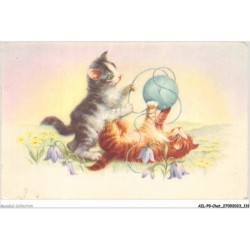 AILP9-0902 - CHAT - des chatons s'amusent